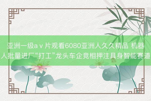 亚洲一级aⅴ片观看6080亚洲人久久精品 机器人批量进厂“打工”龙头车企竞相押注具身智能赛道