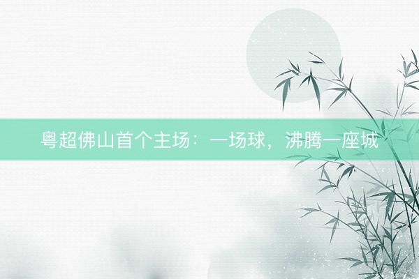 粤超佛山首个主场：一场球，沸腾一座城