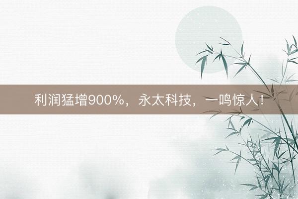 利润猛增900%，永太科技，一鸣惊人！