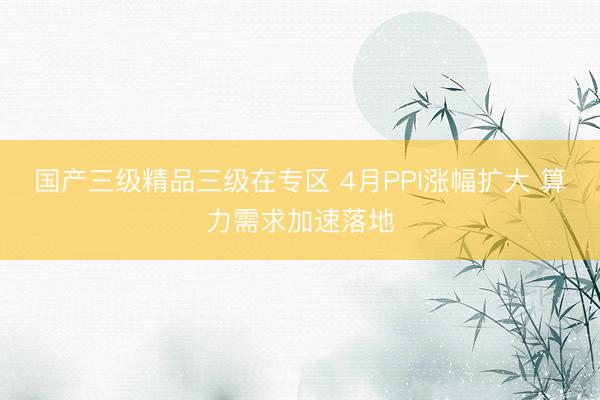 国产三级精品三级在专区 4月PPI涨幅扩大 算力需求加速落地