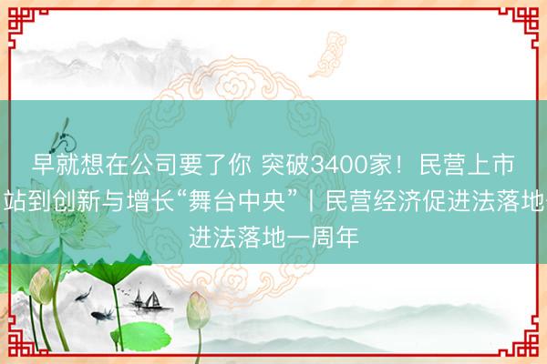 早就想在公司要了你 突破3400家！民营上市公司，站到创新与增长“舞台中央”丨民营经济促进法落地一周年