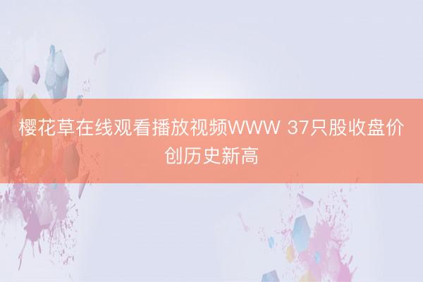 樱花草在线观看播放视频WWW 37只股收盘价创历史新高