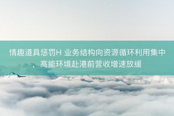 情趣道具惩罚H 业务结构向资源循环利用集中，高能环境赴港前营收增速放缓