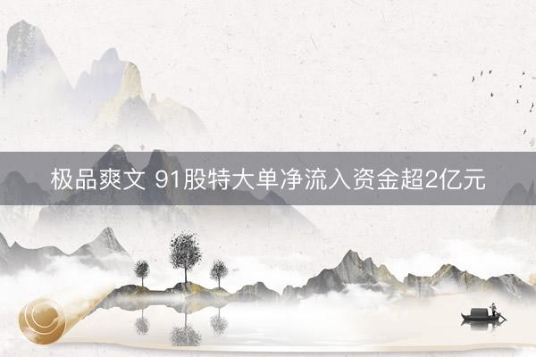 极品爽文 91股特大单净流入资金超2亿元
