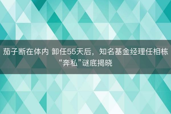 茄子断在体内 卸任55天后，知名基金经理任相栋“奔私”谜底揭晓