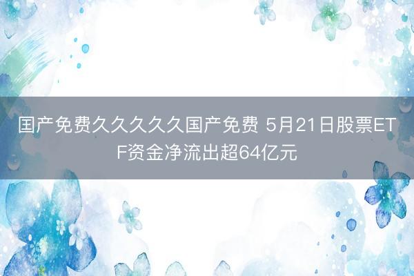 囯产免费久久久久久国产免费 5月21日股票ETF资金净流出超64亿元