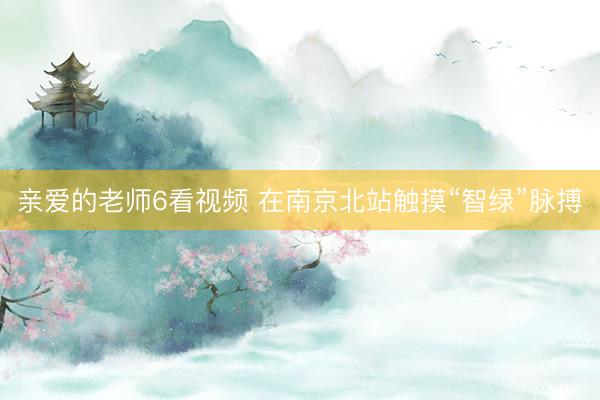 亲爱的老师6看视频 在南京北站触摸“智绿”脉搏