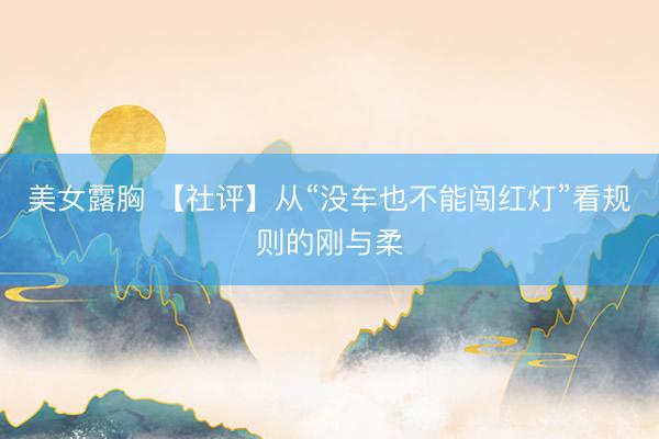 美女露胸 【社评】从“没车也不能闯红灯”看规则的刚与柔