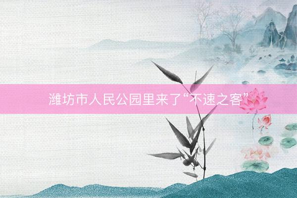 潍坊市人民公园里来了“不速之客”