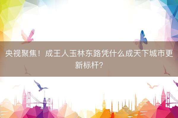 央视聚焦！成王人玉林东路凭什么成天下城市更新标杆？