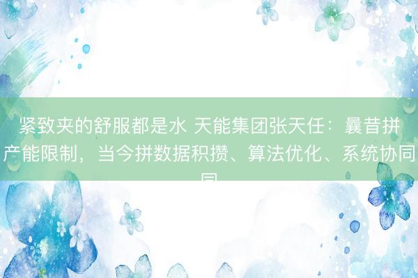 紧致夹的舒服都是水 天能集团张天任：曩昔拼产能限制，当今拼数据积攒、算法优化、系统协同