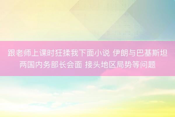 跟老师上课时狂揉我下面小说 伊朗与巴基斯坦两国内务部长会面 接头地区局势等问题