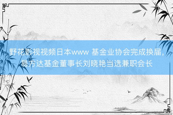 野花影视视频日本www 基金业协会完成换届，易方达基金董事长刘晓艳当选兼职会长