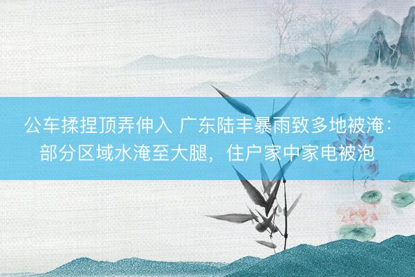 公车揉捏顶弄伸入 广东陆丰暴雨致多地被淹：部分区域水淹至大腿，住户家中家电被泡
