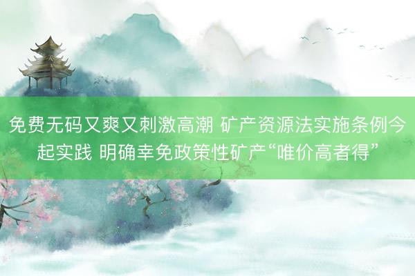 免费无码又爽又刺激高潮 矿产资源法实施条例今起实践 明确幸免政策性矿产“唯价高者得”